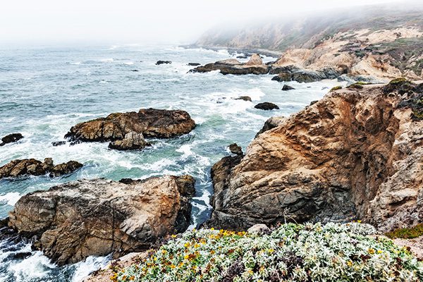 Sonoma Coast